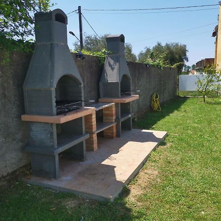 Villa Flora Affittacamere Luni المظهر الخارجي الصورة