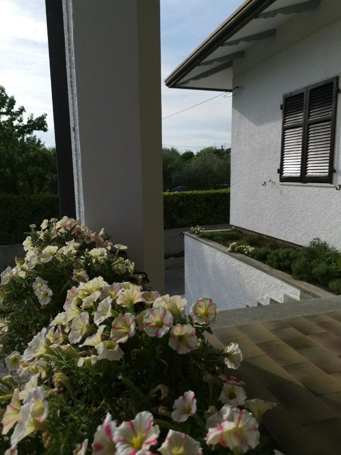 Villa Flora Affittacamere Luni المظهر الخارجي الصورة